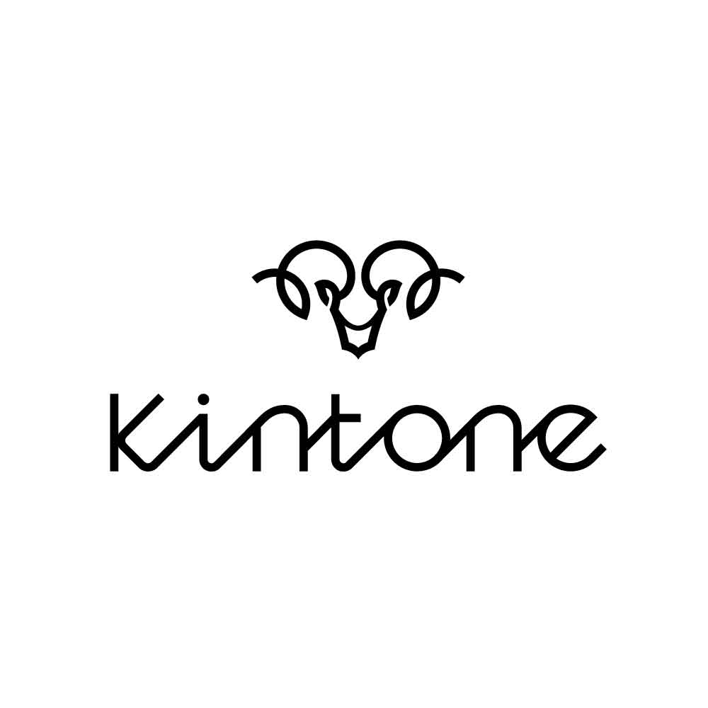 【記載誤りのお詫びと訂正】Kintone α（アルファ）